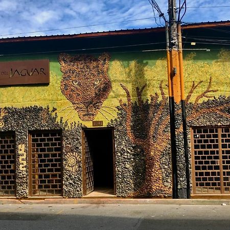 Refugio Del Jaguar 호텔 메딜린 외부 사진