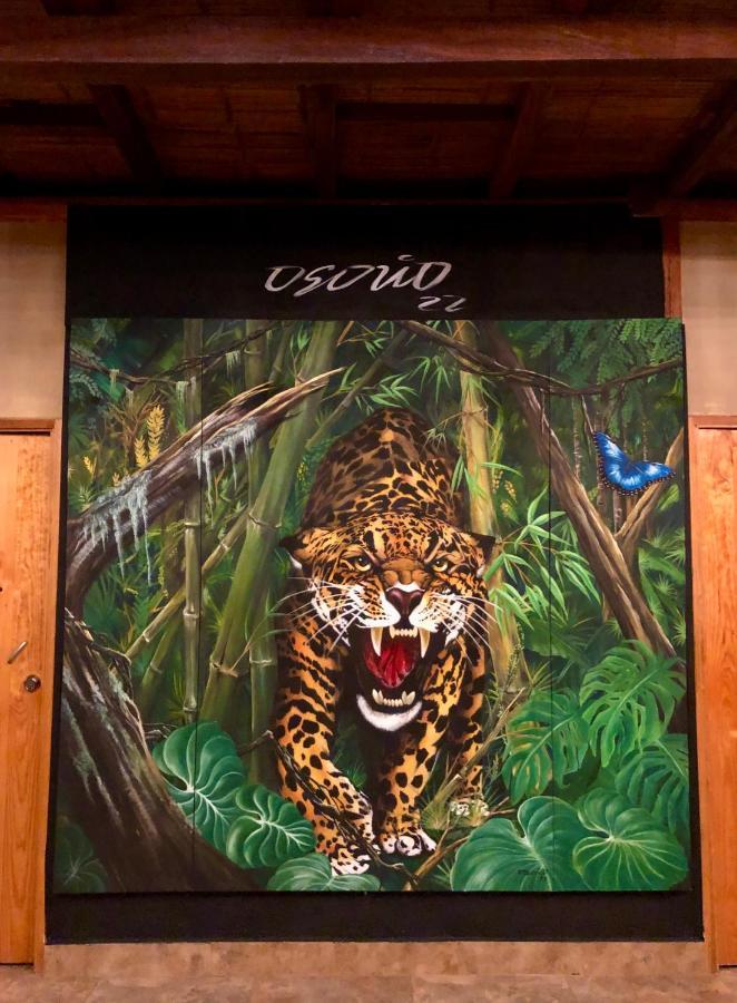 Refugio Del Jaguar 호텔 메딜린 외부 사진