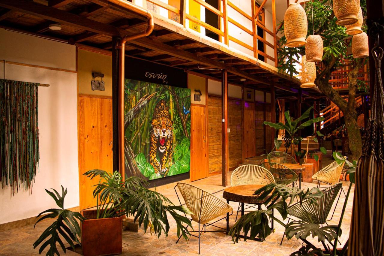 Refugio Del Jaguar 호텔 메딜린 외부 사진