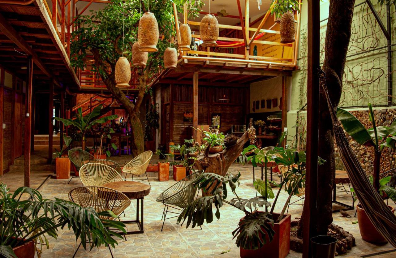 Refugio Del Jaguar 호텔 메딜린 외부 사진